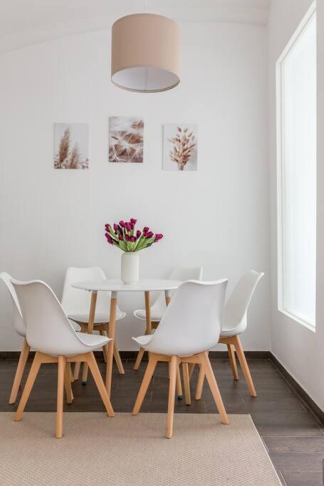 Apartment Free Parking I 500 Mbit Wifi I Kingsize Bed Vienna